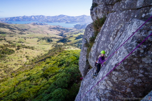 Otepotatu Crag overlooking Akaroa Harbour